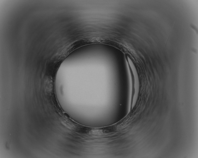 X0000091660413200709131513