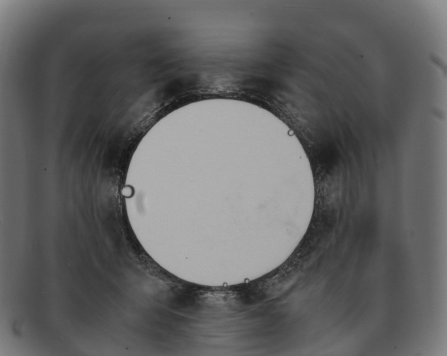 X0000091660415200709131513