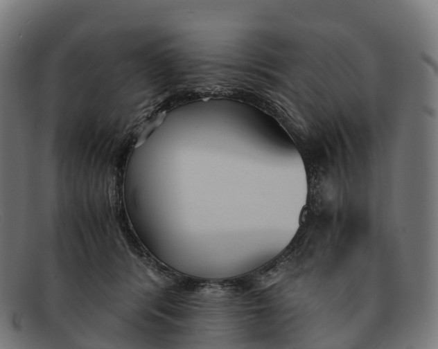 X0000091660416200709131513