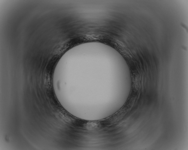 X0000091660418200709131513