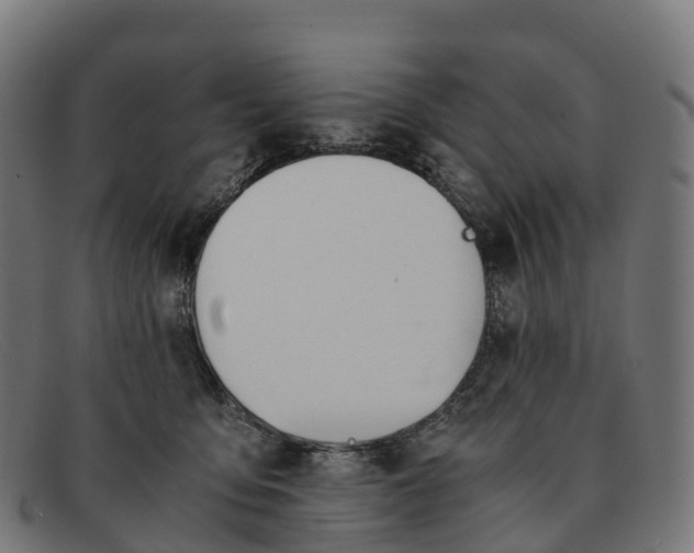 X0000091660419200709131513