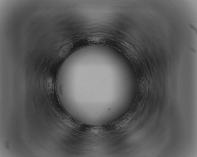 X0000091660420200709131513