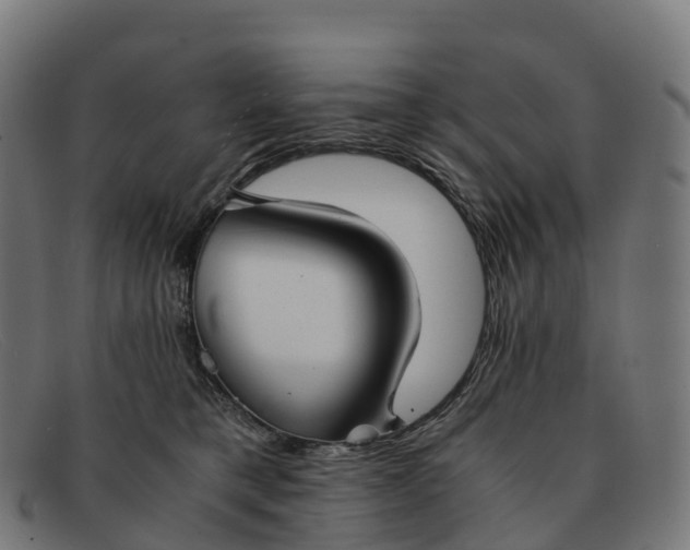 X0000091660421200709131513