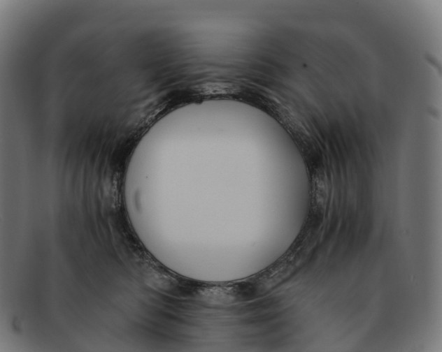 X0000091660422200709131513