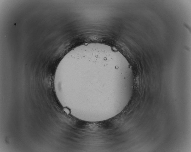 X0000091660423200709131513