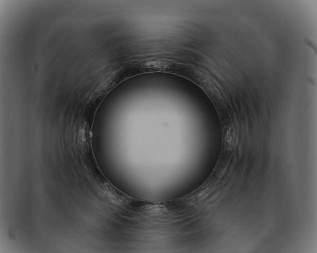 X0000091660424200709131513