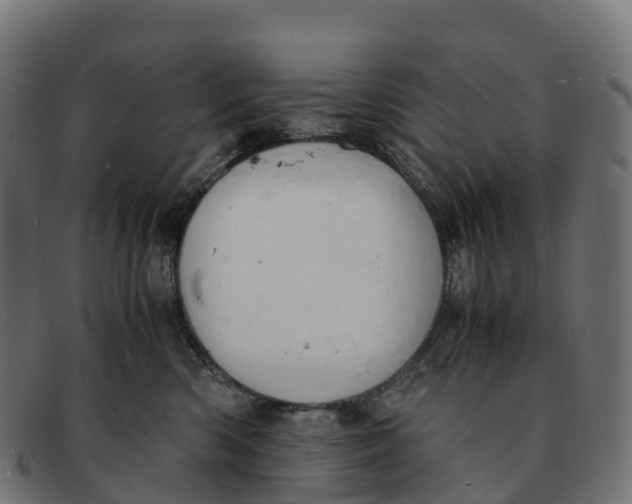 X0000091660426200709131513