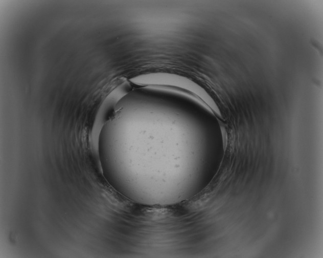 X0000091660428200709131513