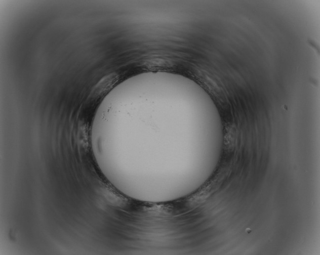 X0000091660430200709131513