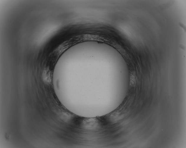 X0000091660431200709131513