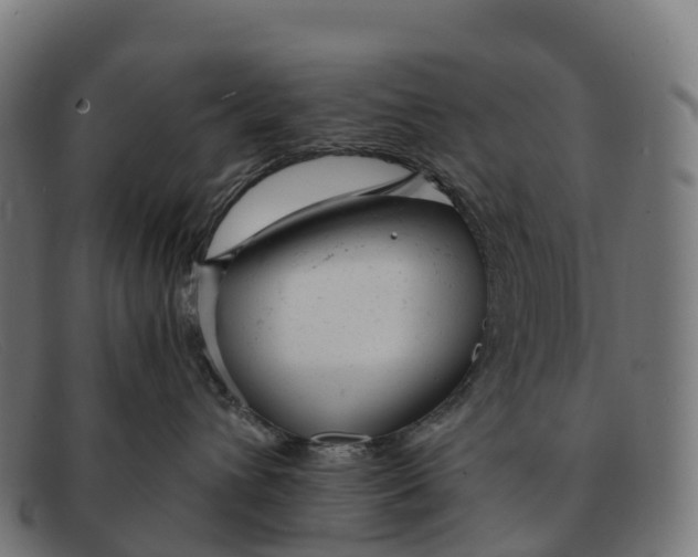 X0000091660432200709131513