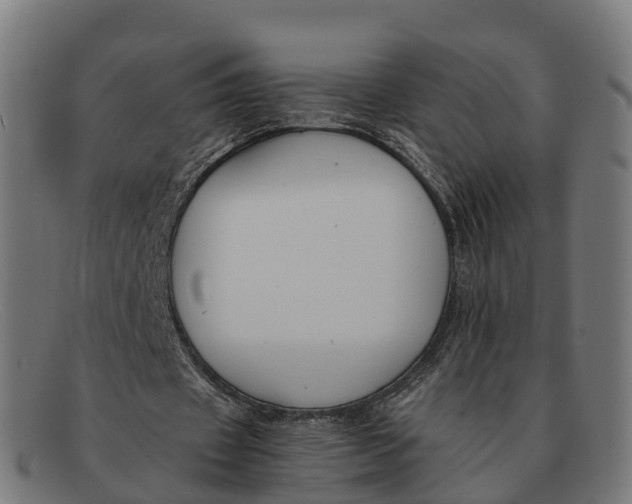 X0000091660433200709131513