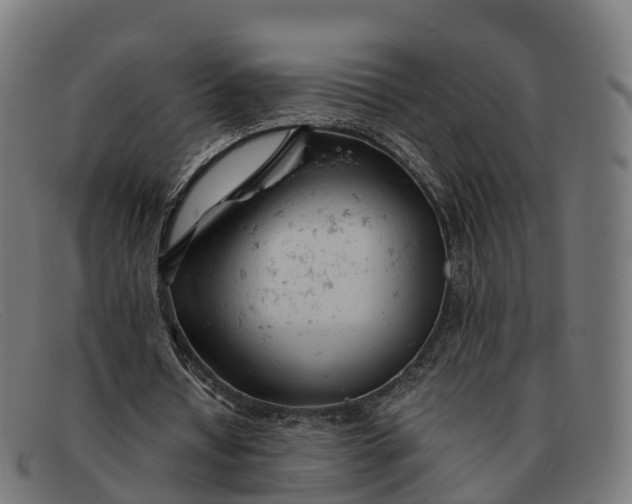 X0000091660434200709131513