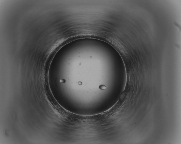 X0000091660436200709131513