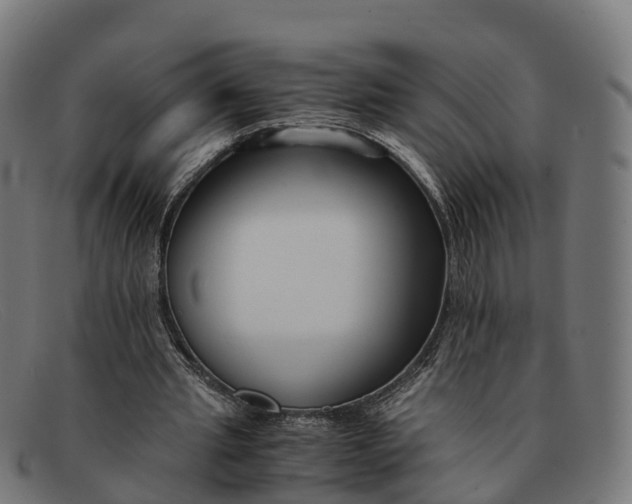 X0000091660437200709131513