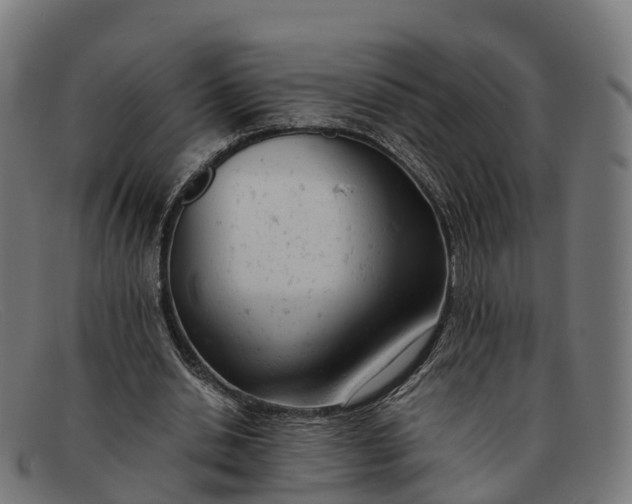 X0000091660438200709131513