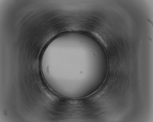 X0000091660439200709131513