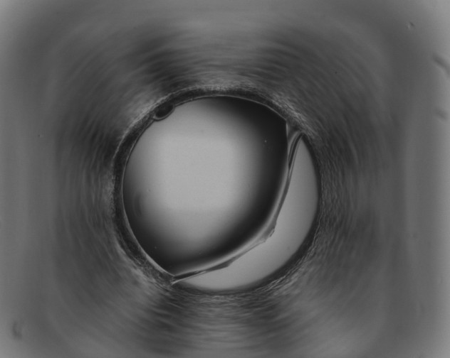 X0000091660440200709131513