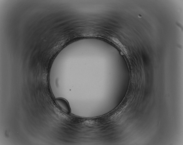 X0000091660441200709131513