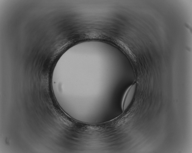 X0000091660442200709131513