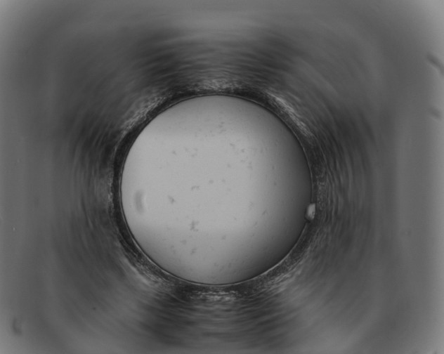 X0000091660443200709131513