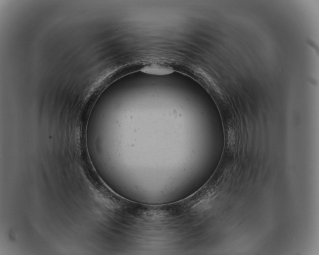 X0000091660444200709131513