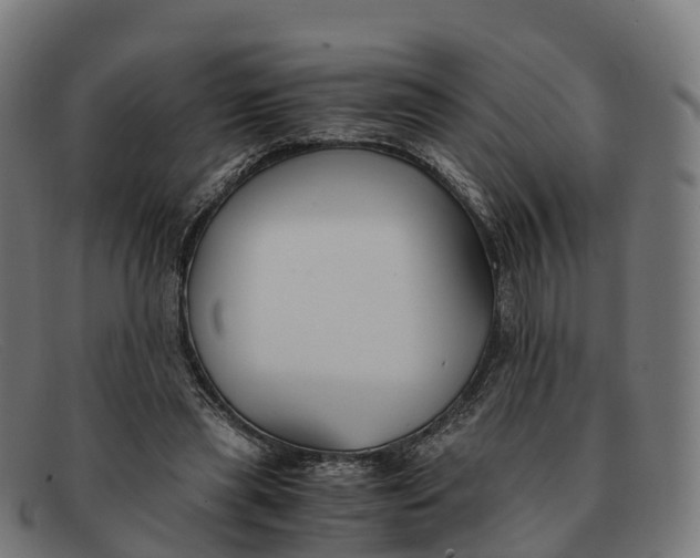 X0000091660445200709131513