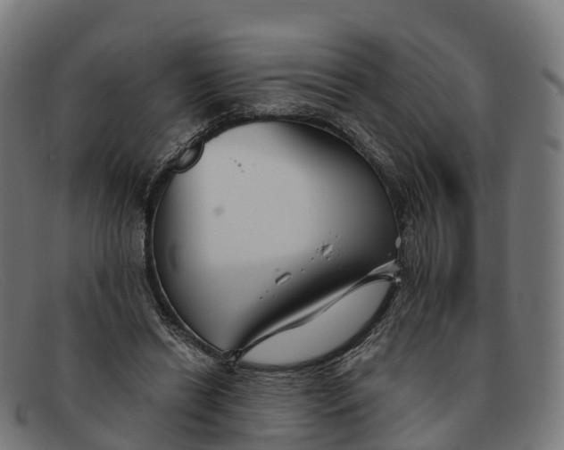 X0000091660446200709131513