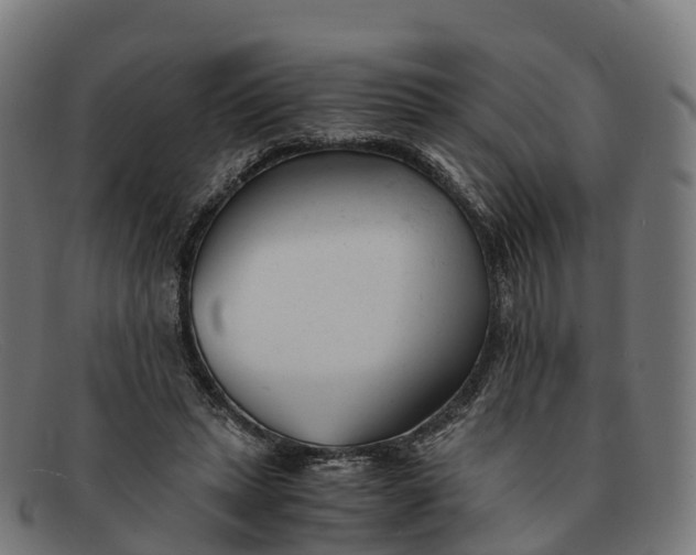 X0000091660447200709131513