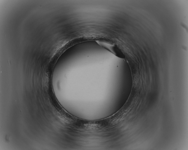 X0000091660448200709131513