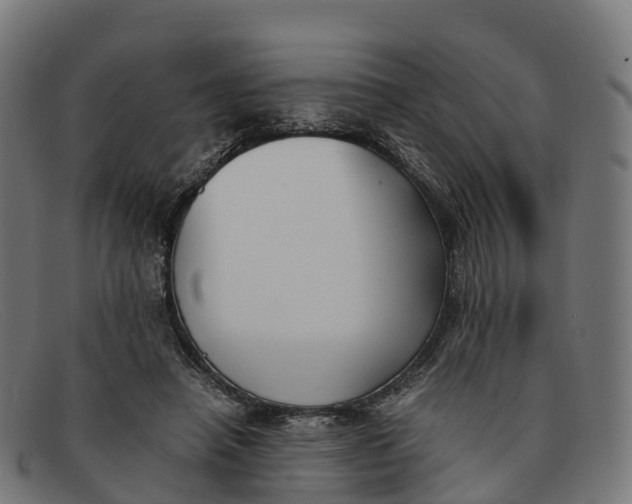 X0000091660450200709131513