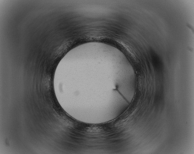 X0000091660451200709131513