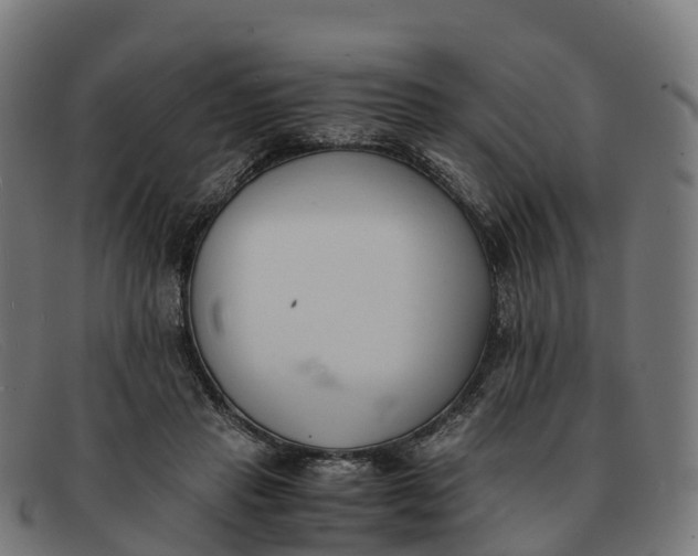 X0000091660453200709131513