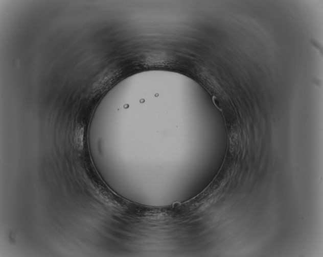 X0000091660454200709131513