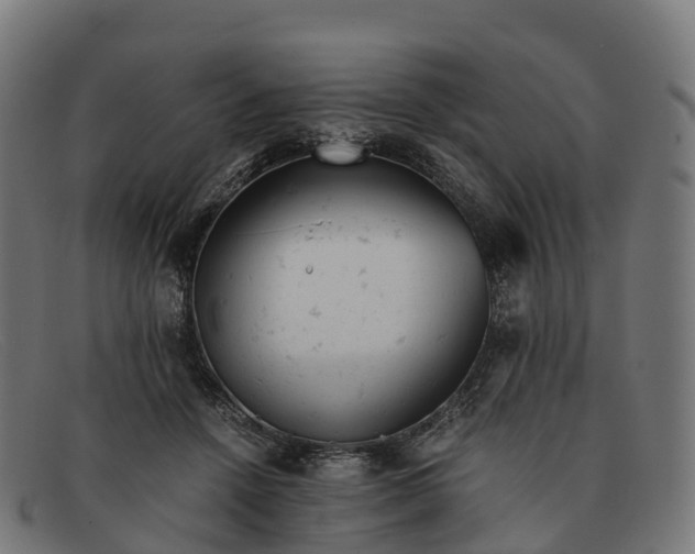 X0000091660456200709131513