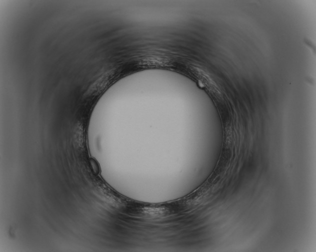 X0000091660457200709131513