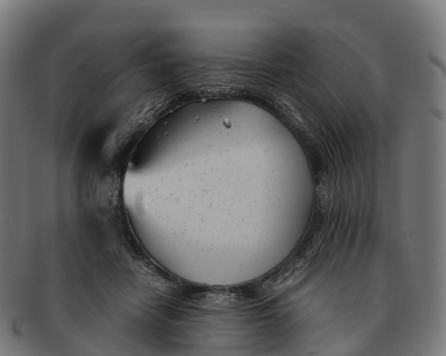 X0000091660458200709131513