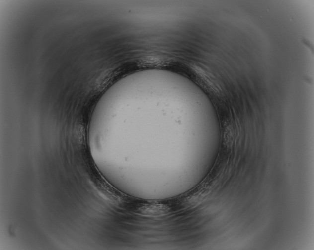 X0000091660459200709131513