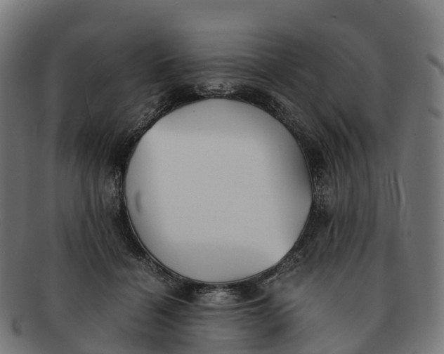 X0000091660460200709131513