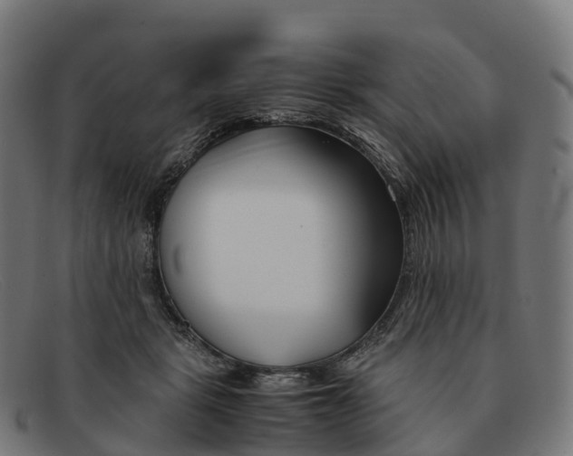 X0000091660461200709131513