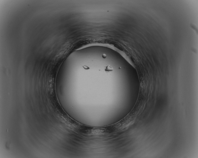 X0000091660462200709131513