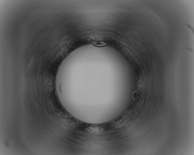 X0000091660464200709131513