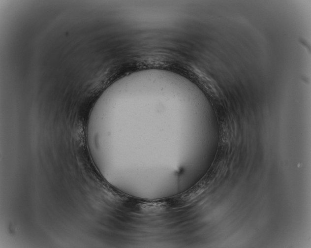 X0000091660465200709131513