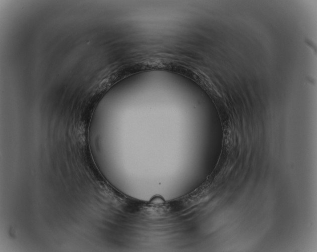 X0000091660466200709131513