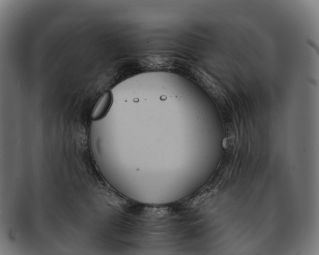 X0000091660469200709131513