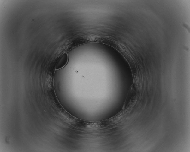 X0000091660470200709131513