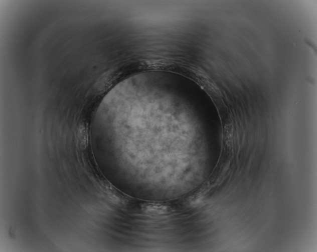 X0000091660471200709131513