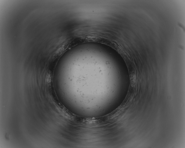 X0000091660472200709131513