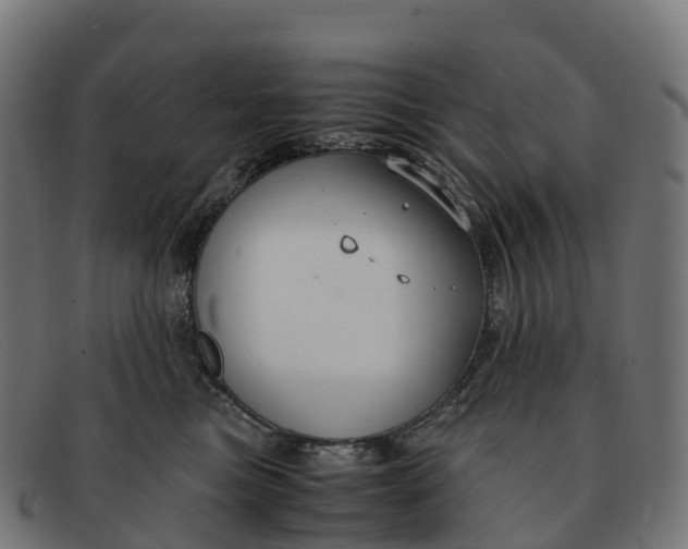 X0000091660473200709131513