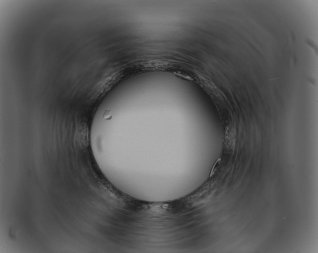 X0000091660474200709131513